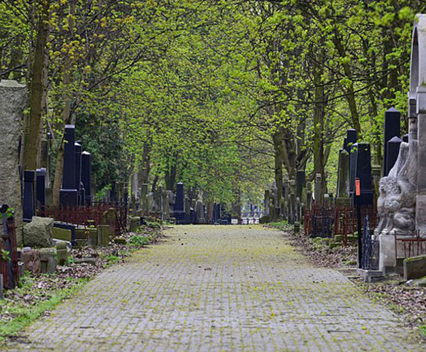 cmentarz zydowski na okopowej