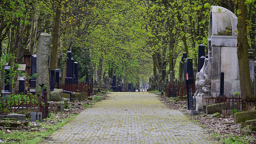 cmentarz zydowski na okopowej